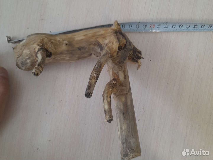 Коряги для аквариума и террариума