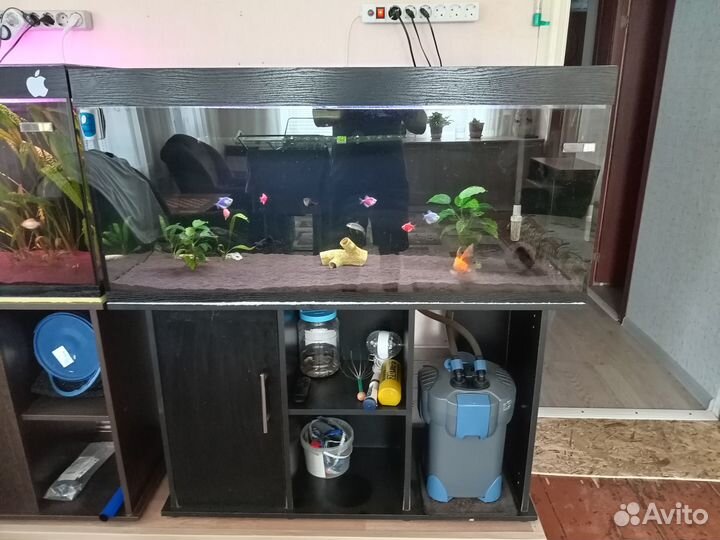 Аквариум 300л