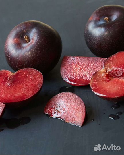 Саженцы шарафуги