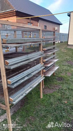 Клетки для перепелов б/у