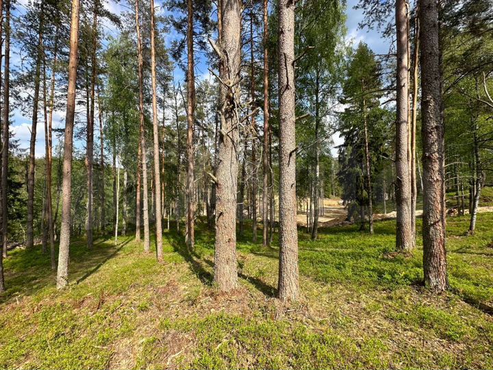 Участок 9 сот. (СНТ, ДНП)