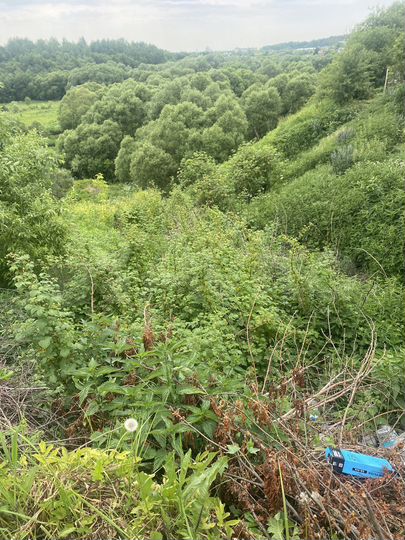 Дом 50 м² на участке 11 сот.