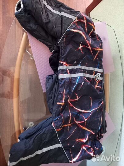 Зимний комбинезон на собаку, мальчика