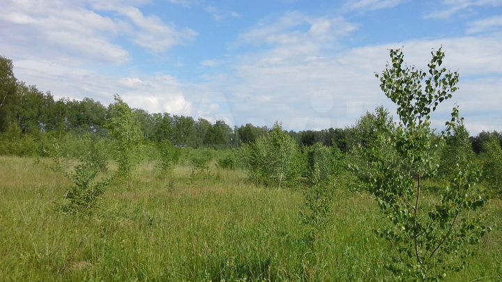 Участок 7 га (СНТ, ДНП)