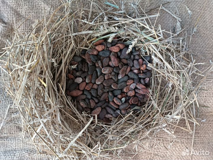 Предметы декора для интерьера