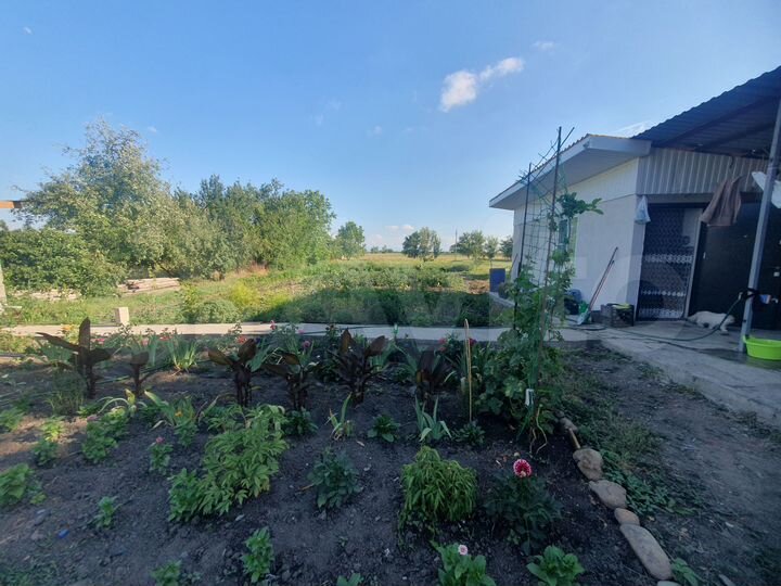 Дом 80 м² на участке 25 сот.