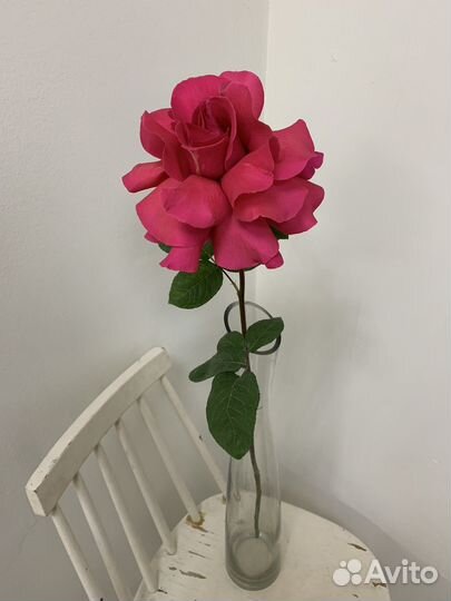 Роза Ажурная, розы гиганты