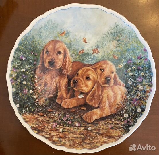 Тарелка Royal Albert Royal Schwabap