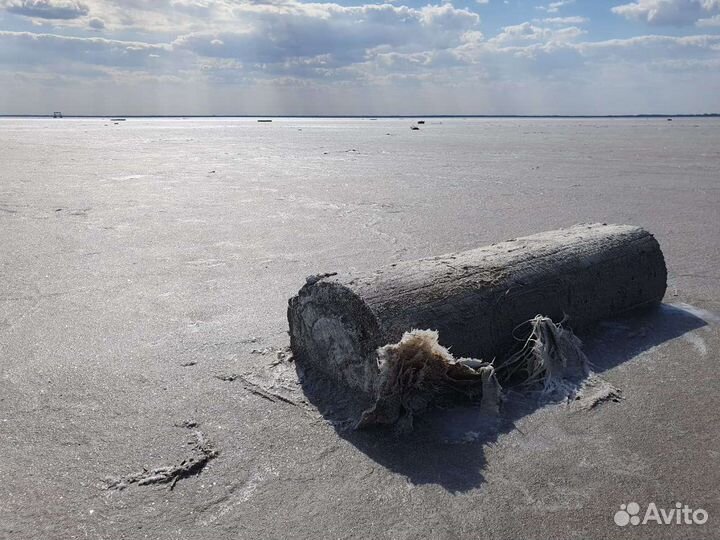 Соль (о.Бурсоль) Алтайский край