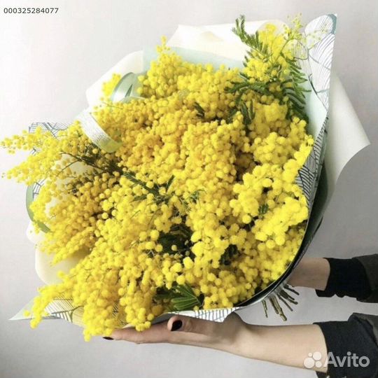 Букеты из мимозы (Арт.26776)