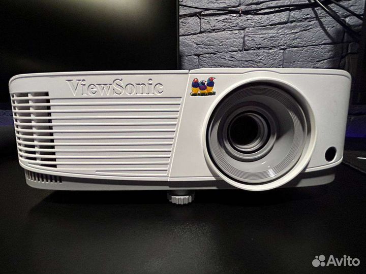 Аренда проектора и экрана