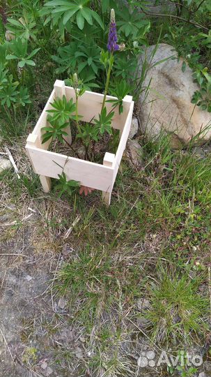 Клумба садовая