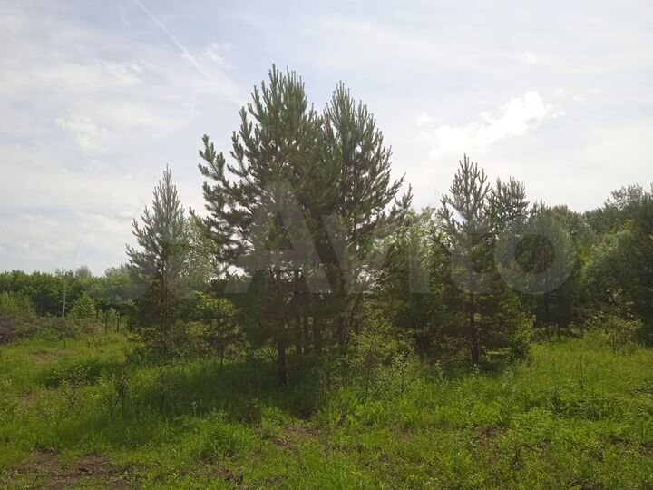 Участок 14 сот. (СНТ, ДНП)