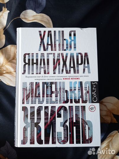 Маленькая жизнь Ханья Янагихара