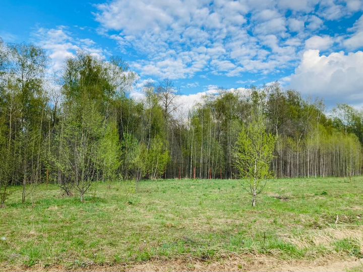 Участок 12 сот. (СНТ, ДНП)