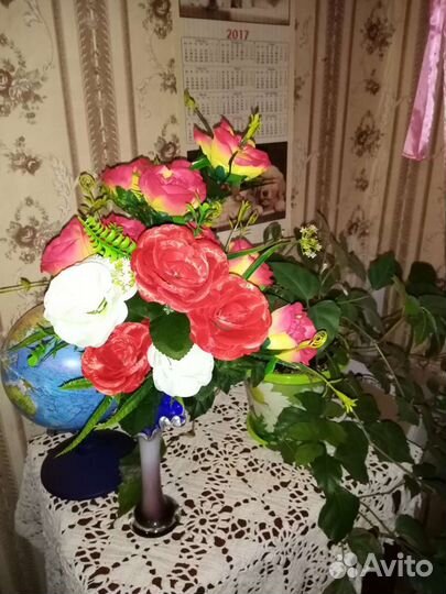 Циссус ромболистный
