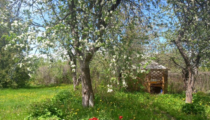 Участок 33 сот. (ИЖС)