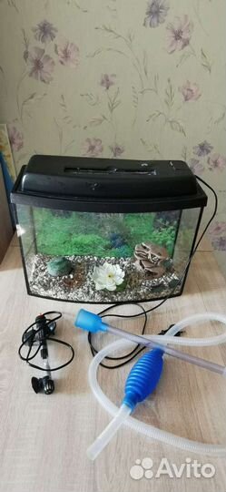 Аквариум и украшения для аквариума
