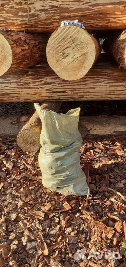 Кора сосны мульча