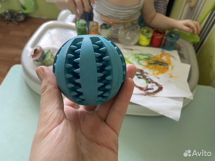 Мяч для собак и игрушка