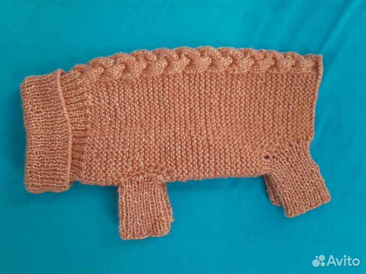 Одежда для собак