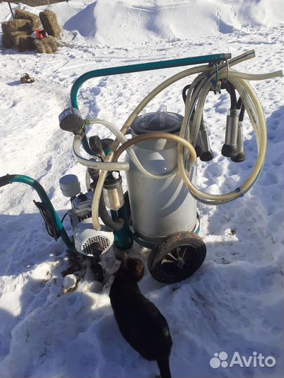 Доильный аппарат для коров бу