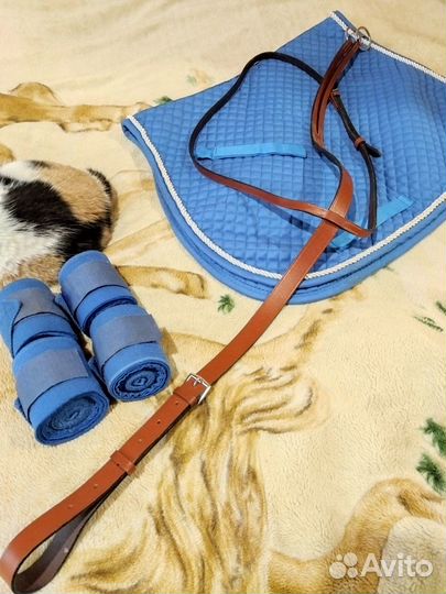 Конная амуниция