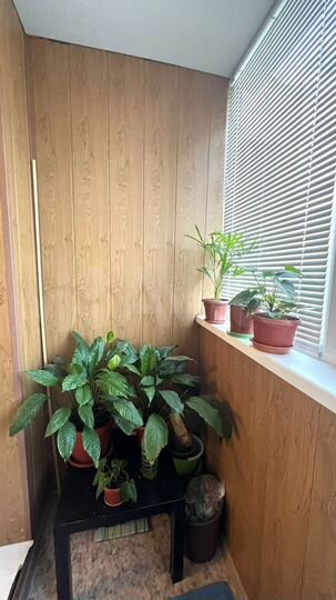 3-к. квартира, 76,3 м², 1/9 эт.