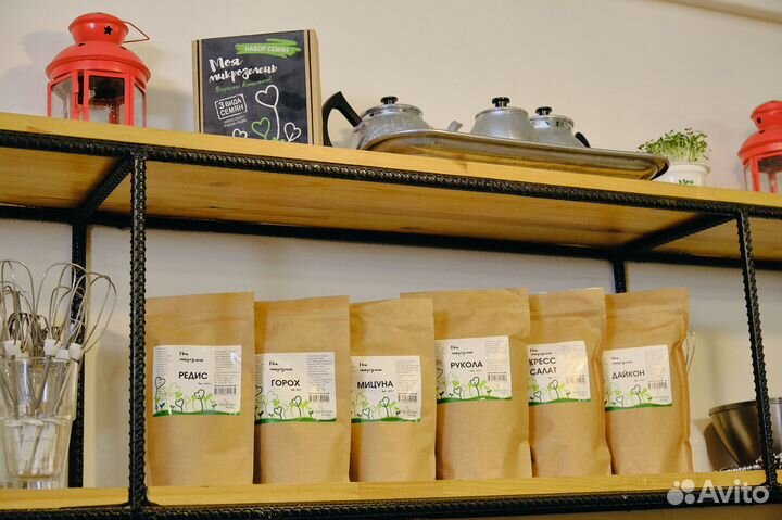 Семена микрозелени 100/200/500 грамм опт