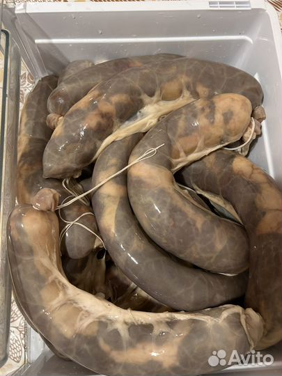 Казы. Конская колбаса сырая