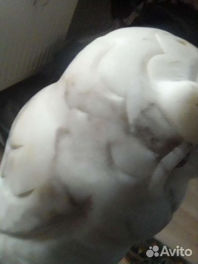 Антиквариат, мраморная сова, ночник, 50 ые года