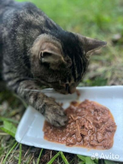 Меня бросили