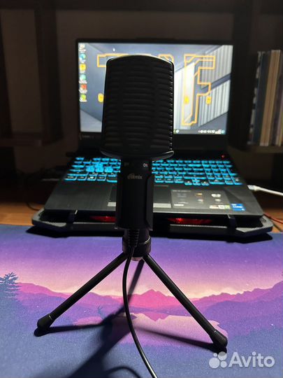 Микрофон Ritmix