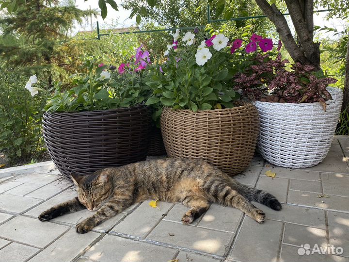 Кашпо из икусственного ротанга