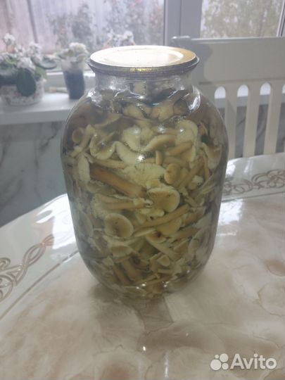 Грибы опята маринованные