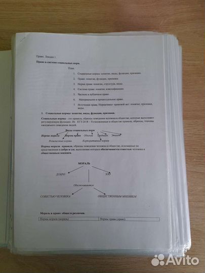 Обществознание, лекции