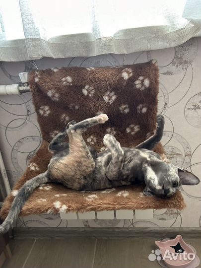 Гамак для кошек на батарею