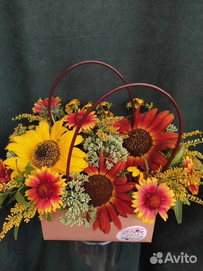 Подсолнух декоративный