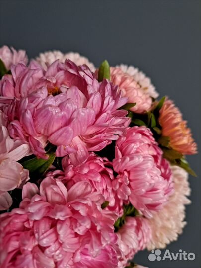 Цветы садовые букеты