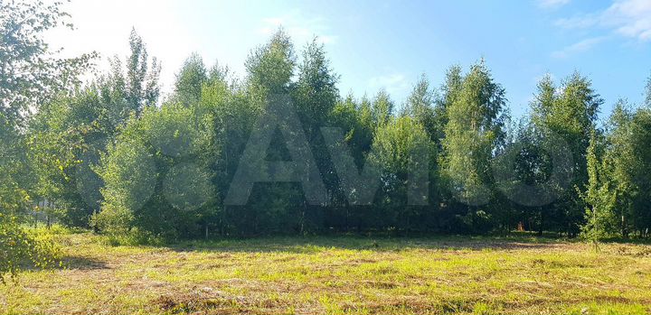 Участок 10 сот. (СНТ, ДНП)