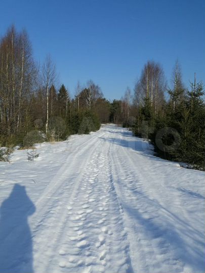 Участок 4,7 га (ИЖС)