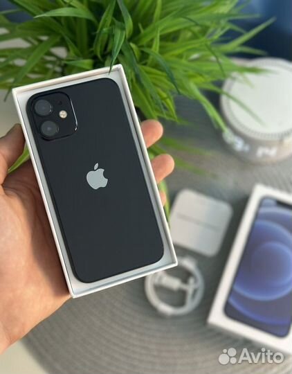 iPhone 12 mini, 256 ГБ