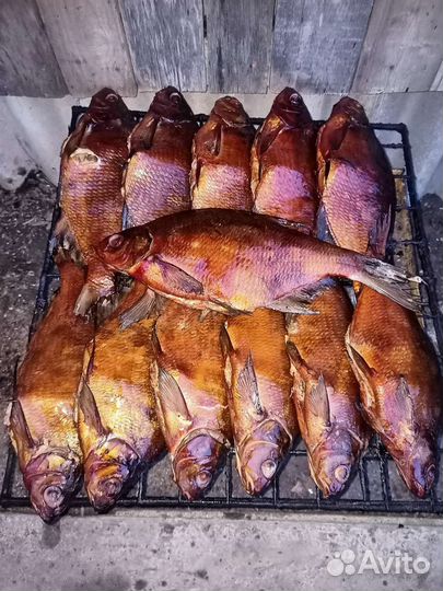 Рыба Горячего Копчения