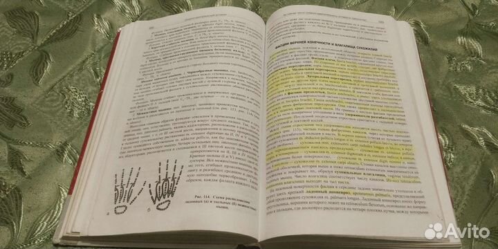 Анатомия человека М Г Привес