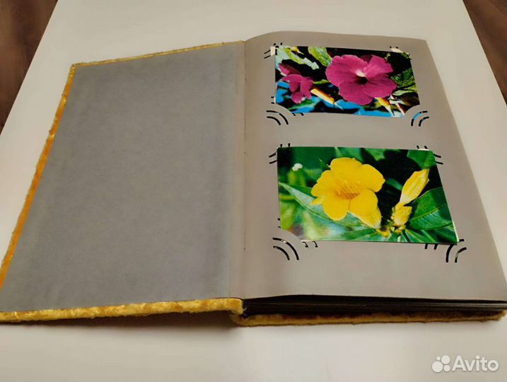 Альбом для художественных открыток СССР