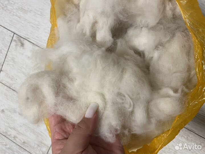 Шерсть самоеда