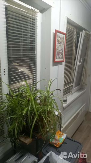 Гостиница для животных