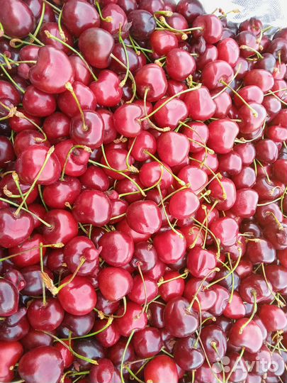 Фрукты Овощи Клубника с доставкой до двери