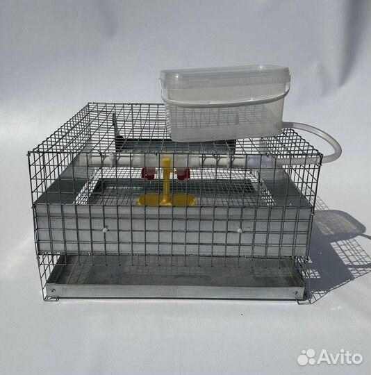 Клетка для 20 перепелов