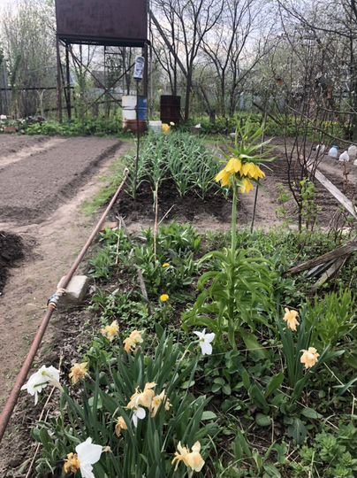 Дача 30 м² на участке 6 сот.